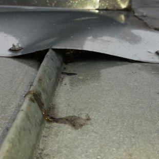 Trīs pēc kārtas pareizi iestrādāti jumta logi, jumta slīpums ap 7 grādi