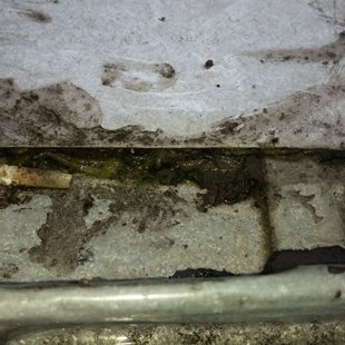 Trīs pēc kārtas pareizi iestrādāti jumta logi, jumta slīpums ap 7 grādi