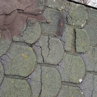 tāds izskatās segums pēc vairāk kā 10 gadiem...